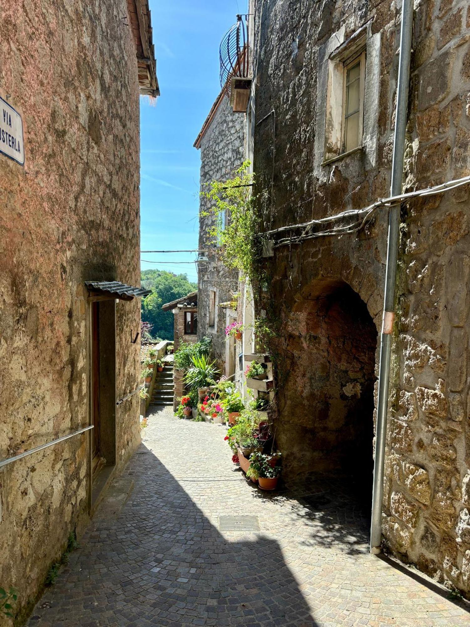 Borgo Vecchio Apartment Carbognano Luaran gambar